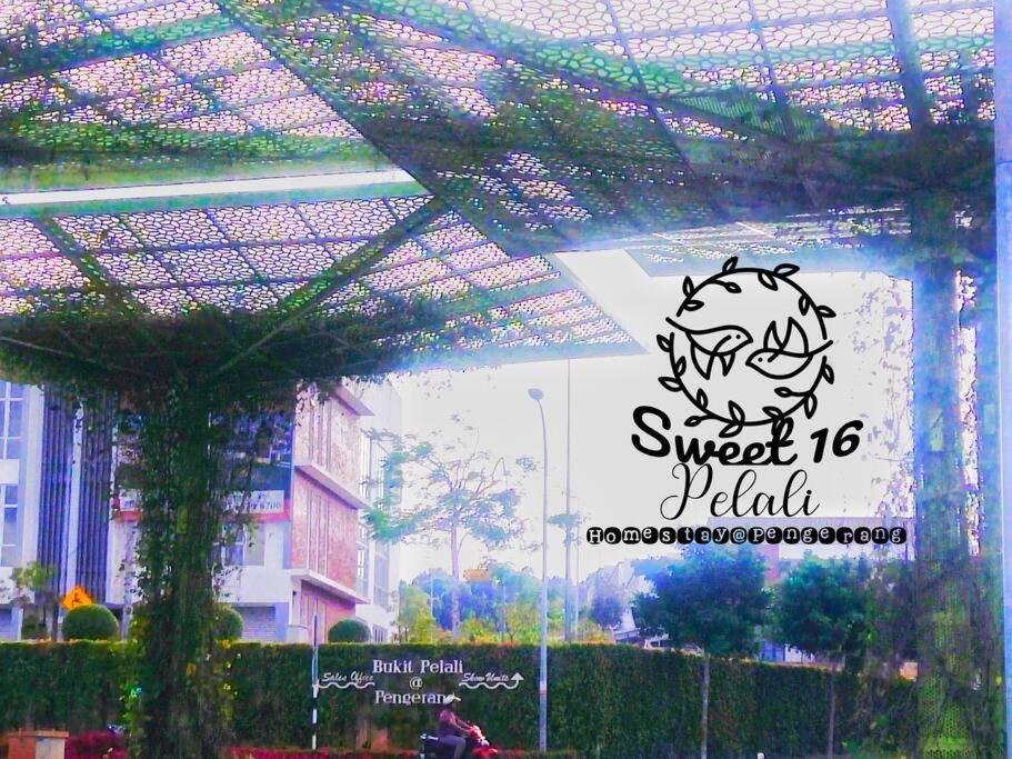 Sweet 16 Pelali Homestay Pengerang Exterior photo